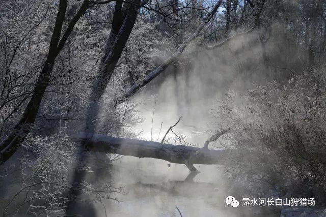 特发性震颤的危害